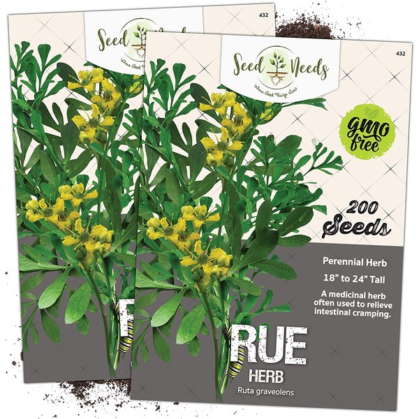 Seed Needs, Rue Herb (Ruta graveolens) Twin Pack of 200 Seeds Each Non-GMO