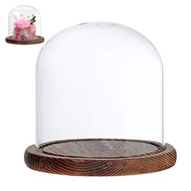 Glass Dome with Base Transparent 3.5x4.7inch Dustproof Retro Glass Display Dome Home Tabletop Coffee Shop Glass Cloche for Fake Flower Doll Figurine Glass Display Dome Glass Cloche Glass Dome with Ba