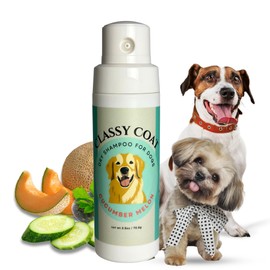 Classy Coat Dry Shampoo for Dogs (Cucumber Melon) | Waterless No-Rinse Spray Powder | Cucumber Melon Scent | Talc and Alcohol Free | Safe for Sensitive Skin | Made in USA
