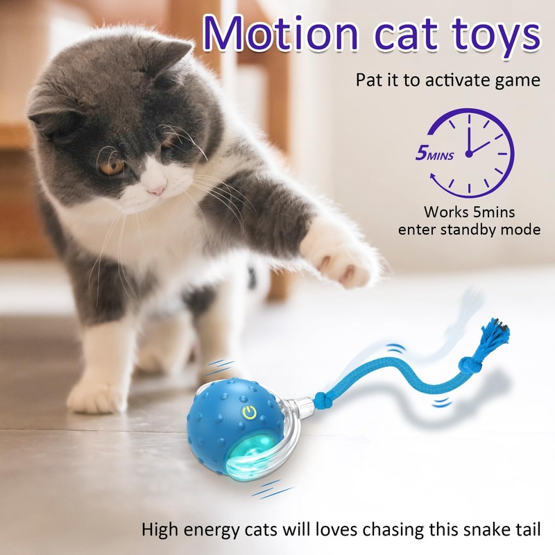Giociv Interactive Cat Toys Ball for Indoor Cats Fast Rolling