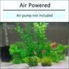AQUANEAT Aquarium Air Powered Sponge Filter, Fish Tank Bio Bubble