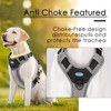 ThinkPet Anti-Pull Dog Harness, with Handle, Easy to Control, Adjustable,