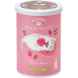 Seishin Pottery GD-102503 All Year Round Home Garden Cultivation Kit, Wild Strawberry, Mini, Easy, Loose Growing, Herbs, Herbs, Cultivation Set, Pink, Mother's Day, Birthday, Gift, Pot Diameter