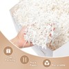 Wowxyz 2 LB Crinkle Cut Paper Shred White Crinkle Paper