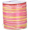 C.E. Pattberg Raffia Ribbon