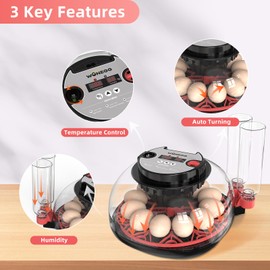 Skimzy Egg Incubator with Automatic Turning & Humidity Control, Digital Egg Hatching Machine for Chicken, Duck, Goose, Pigeon, Quail, Parrot – Ideal for Farm, Home, Lab & Science Classroom (12 Eggs)
