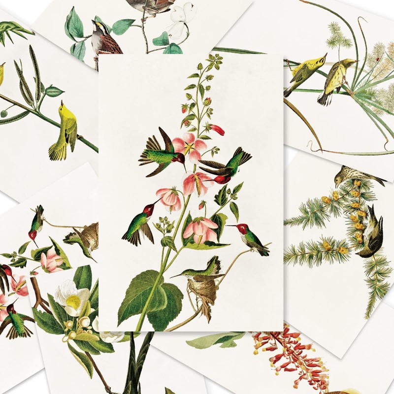 Berkin Arts 12 All Occasion Classic Art Greeting Cards Gift