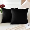 OTOSTAR Pack of 2 Velvet Soft Decorative Throw Pillow Covers