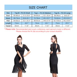 ZX Women's Ballroom Dance Costume V Neck Pleated Long Fringed Tango Salsa Latin Dance Dress with Shorts