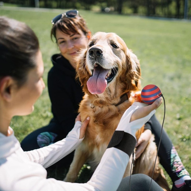 Rhode Island Novelty 2.25" Neon Wrist Band Return Ball 12