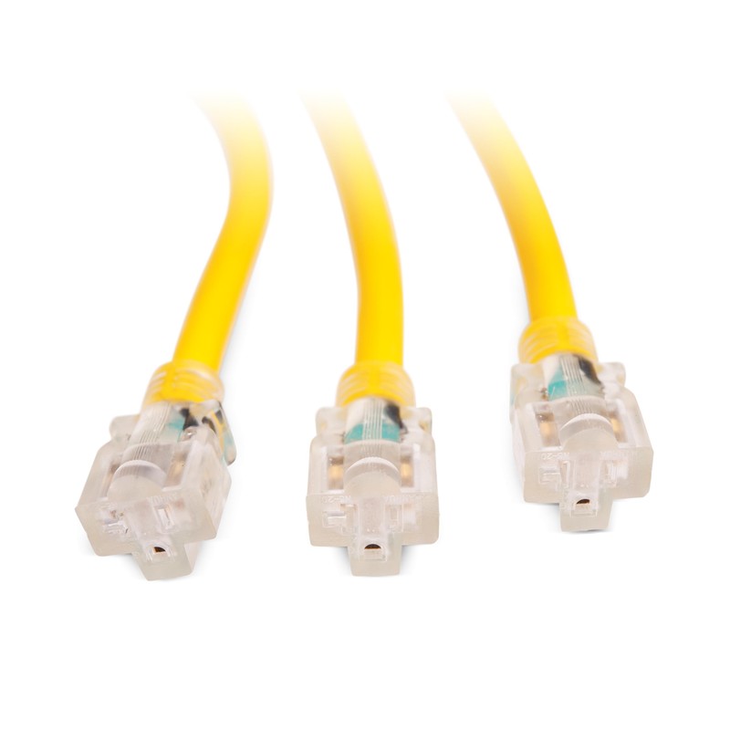 Champion Power Equipment 2 ft. 30A 125V Generator Adapter Cord