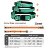 Garwor Reflective Dog Collar with Soft Neoprene Padding, Buckle Adjustable