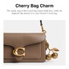 Coach Resin Cherry Bag Charm