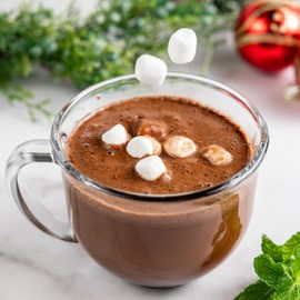 Bare Life: Dairy Free Peppermint Hot Cocoa Mix | Single Serving 0.95 Oz (10 Pack) | Gluten Free, Vegan, Organic, Plant Based, Paleo, Soy Free, Corn Free, Lactose Free, Refined Sugar Free Hot Chocolate