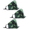 NORTY 3 Pack Adult 3 Layer Washable Reusable Cotton Fabric