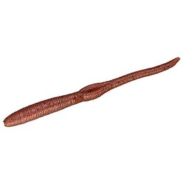 JACKALL Worm Whole Flick 6.5" Shrimp Miso Red Flake