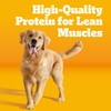Pedigree Complete Nutrition Adult Dry Dog Food, Roasted Chicken &