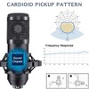 Podcast Equipment Bundle For 2, ALPOWL Audio Interface with Cardioid
