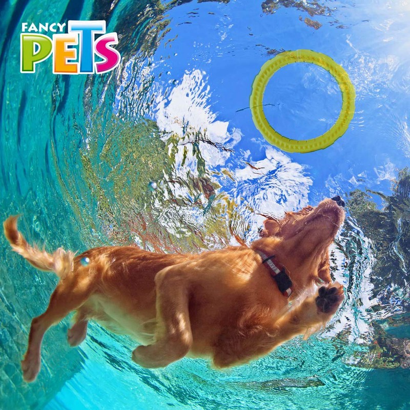 Fancy Pets Juguete Chew Aro Masticable para Perro Tamaño Grande