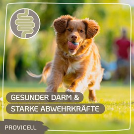 Provicell EM Vital 250 ml | Probiotika Hund | Natürliche Darmsanierung für Hunde | Mit Tierärzten in Deutschland entwickelt & hergestellt | Barf-Zusatz | Fördert Verdauung & Immunsystem