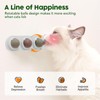 MisFun Catnip Ball, Catnip, Cat Accessories, 4 in 1 Catnip