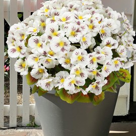 Artificial Flowers Outdoors, 11 Bundles Fake Spring Flowers for Outdoor Planters, Faux Plants with Silk Flowers for Front Porch Decor Garden Patio Home Aesthetic -Peranium (Mix Pink Red Purple Orange)