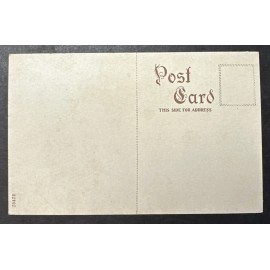 Alta Pass North Carolina Inn  CC & O Railroad NOS Antique Advertising Postcard