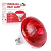 LUCKY HERP Infrared Heat Lamp for Chickens - 250 Watts