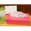 Ikeda 61100 Stylish Stock Tissue Box, White