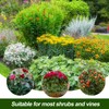 Elefama 8 Pack Peony Cages and Supports with Plant Support