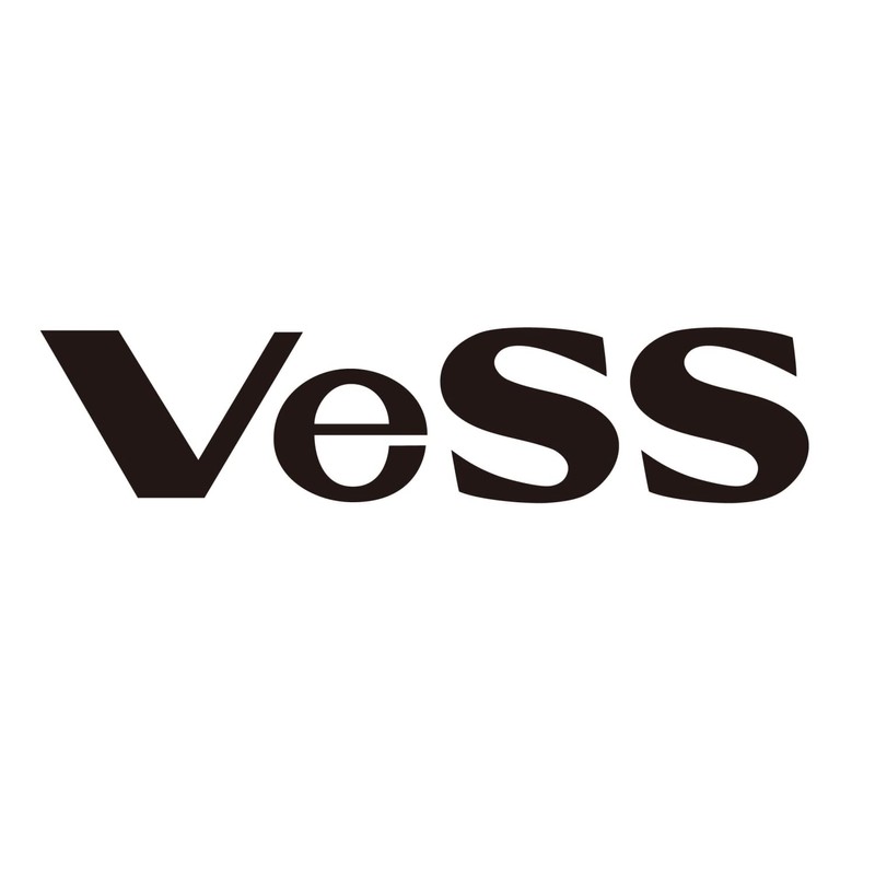 VESS Hair Brush without Pain on Skin: For People with