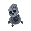 XJPONGC Skull Dice Tower Dungeons and Dragons RPG abletop Roleplaying