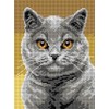 Wizardi Needlepoint Canvas for halfstitch Without Yarn British Shorthair 3356F