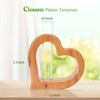 Chonsun Plant Propagation Stations Plant Terrariums Wall Hanging Planters Plant