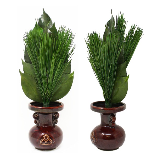 Authentic Arajin Pine M with Back Pine 1 Bunch (Uses