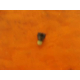 Paslode Part # 904557 Screw (IM250A/F16)