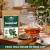 4 oz. Senna Leaf Senna Leaves Tea Bags Herbal Tea
