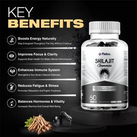 Flebo Pure Himalayan Shilajit Gummies - Formulated with Ashwagandha and Zinc- 50% Fulvic Acid- 60 Two A Day Blackcurrant Flavour- Energy, Stress Relief and Immune Support. Vegan and Halal