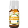 Pure Gold Essential Oils - Neroli Essential Oil - 0.33
