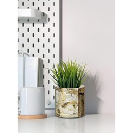 Serene Spaces Living 4.5" White Birch Bark Vase - Size: Small - Pack of 1