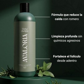 Shampoo Sin Sulfatos, Parabenos ni Sales – Anticaída con Romero – Extracto 100% Natural con 10 Hierbas – Hidratación, Brillo y Crecimiento – Herbal - 480 ml