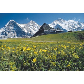 Ricola Original Herbal Candy, 2.5 oz (70 g) x 6 Packs