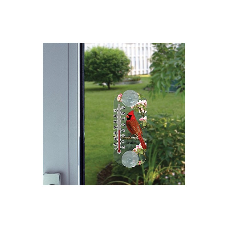 Lacrosse 204-1081 8-inch Analog Capillary Window Thermometer with Cardinal