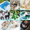 Epoxy Resin Kit - 1 Gallon Fast Cure Epoxy Resin,