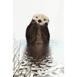 Sea Otter Journal: Cute Seaotter lined notebook diary track log or journal gift to write notes and ideas for home use school and homework 6x9 120 pages