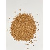 Thunder Acres Premium Soft Red Winter Wheat Seed (2, Pounds)