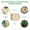 Vplus 500 Pack Paper Plates 9 inch 100% Compostable, Heavy-Duty