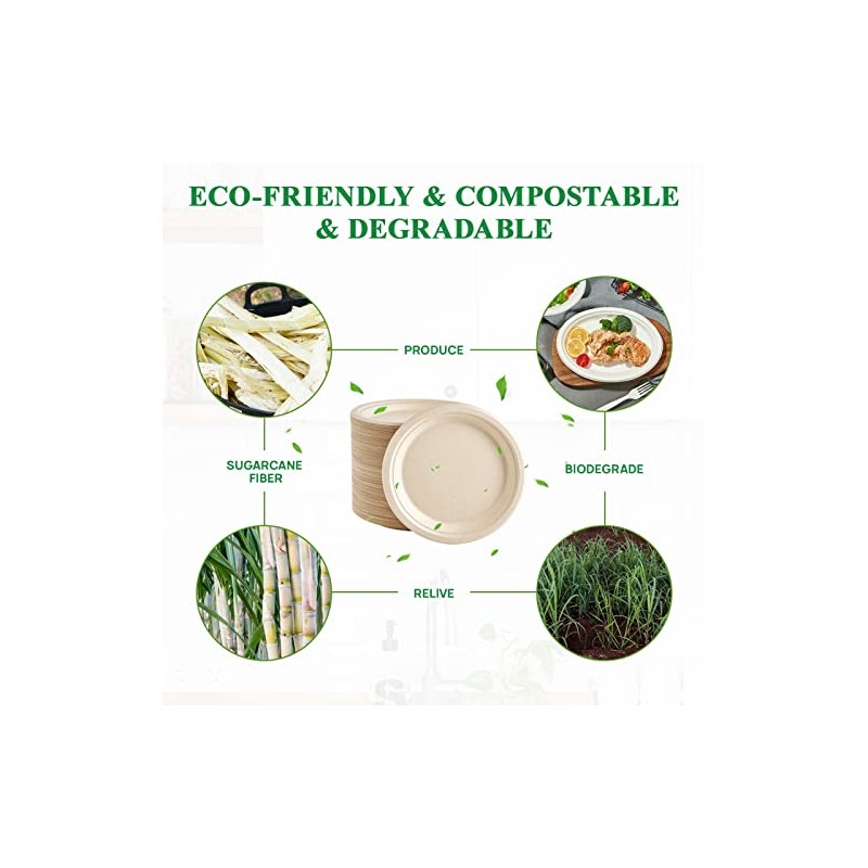 Vplus 500 Pack Paper Plates 9 inch 100% Compostable, Heavy-Duty