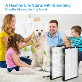 HSP003 replacment Filter is Combined by 2 in 1 Premium HEPA&Activated Carbon Material，Compatible with HATHASPACE HSP003 Dual Filtration Hepa Air-Purifier Filter-2Pack
