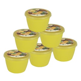 Just Pudding Basins Pastel Colours 1/4 Pint Small Basin and Clear Lid 0.25pt Pack of 6 Plastic Steaming Bowls (Yellow)